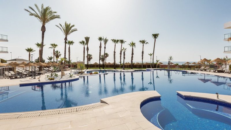 Best Oasis Tropical