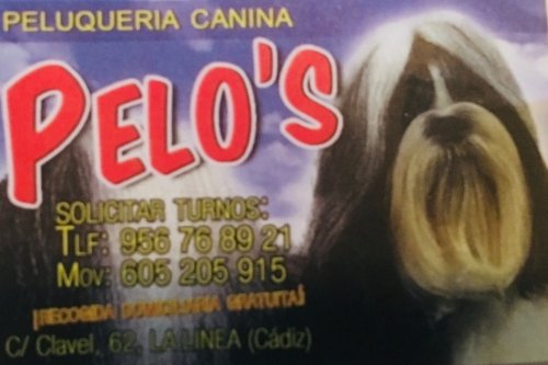 Pelos